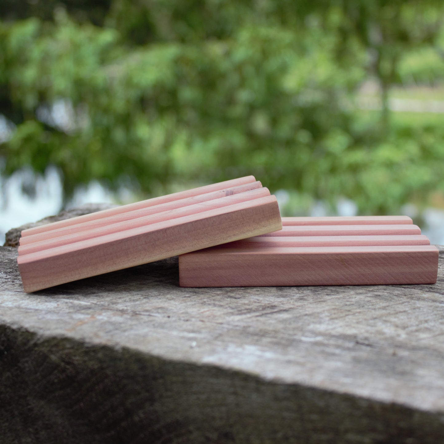 side view of two cedar soap trays on wood with natural green background