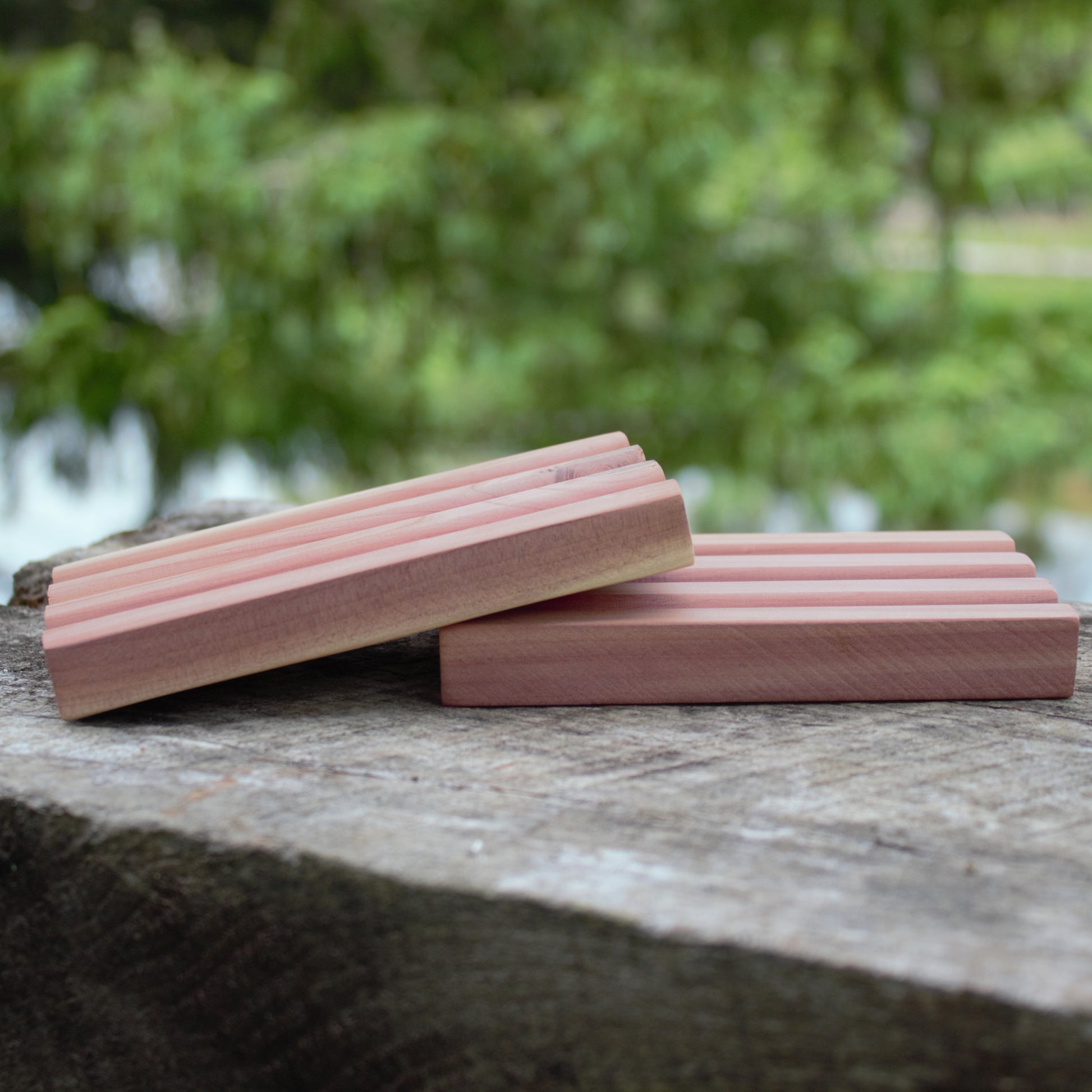 side view of two cedar soap trays on wood with natural green background