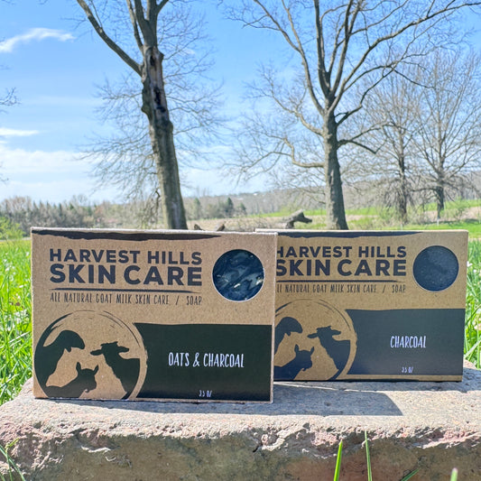 Two boxes of Harvest Hills Skin Care charcoal soap on a stone ledge with a natural landscape background.