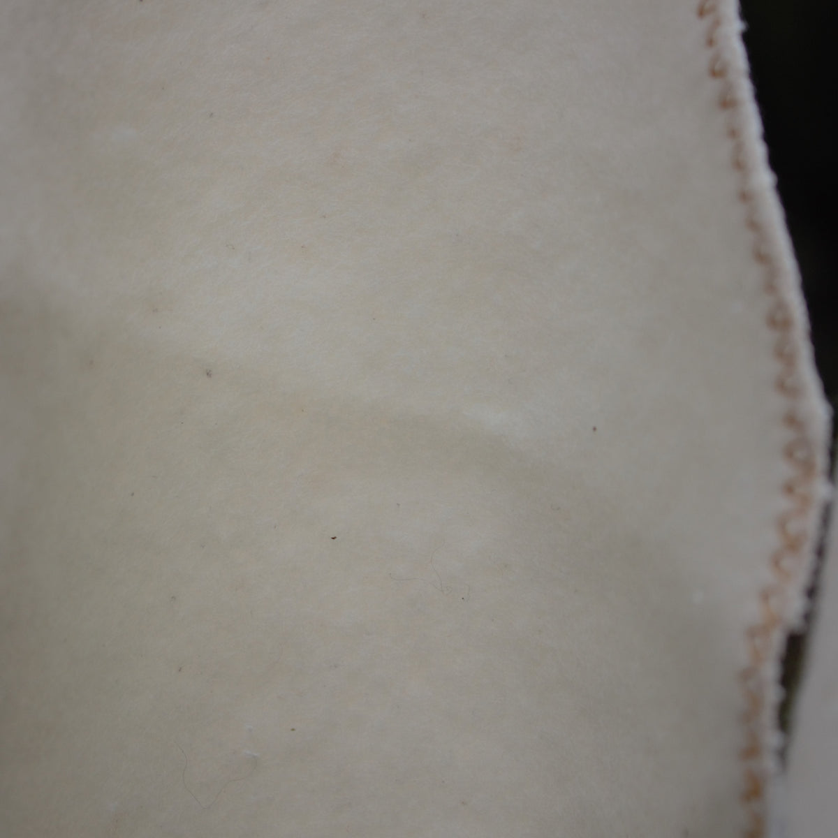 front of organic cotton cloth