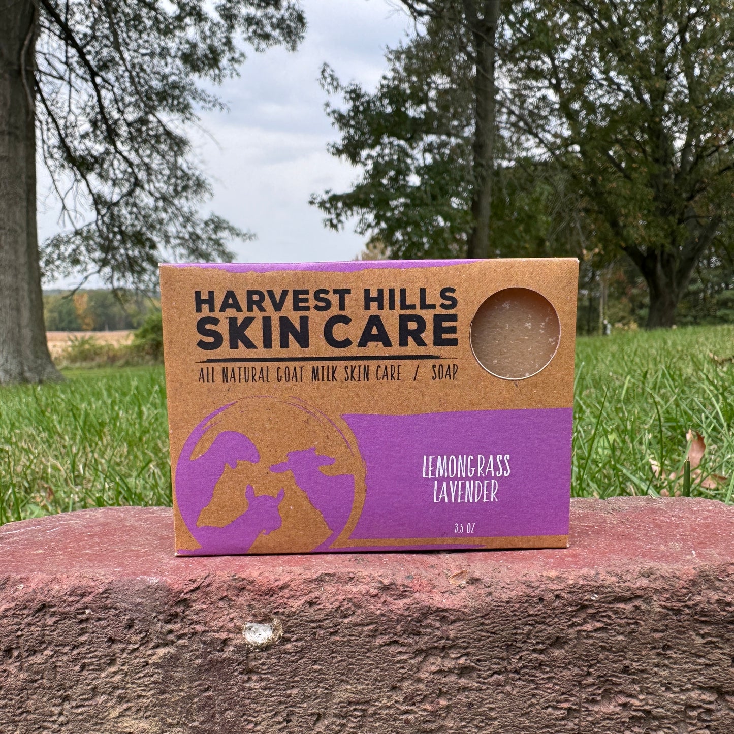 Harvest Hills Skin Care goat milk soap bar lemongrass lavender, on a rock outdoors