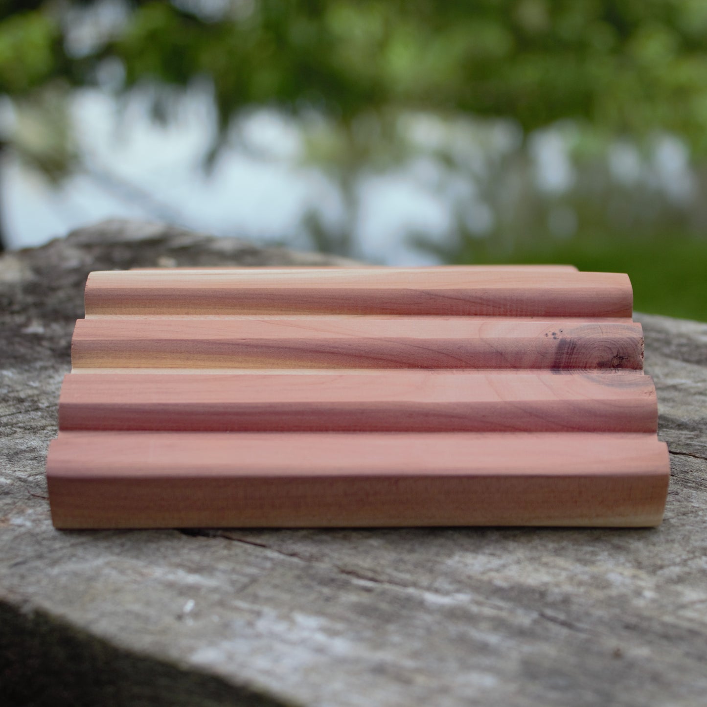 cedar soap tray on wood with natural green background