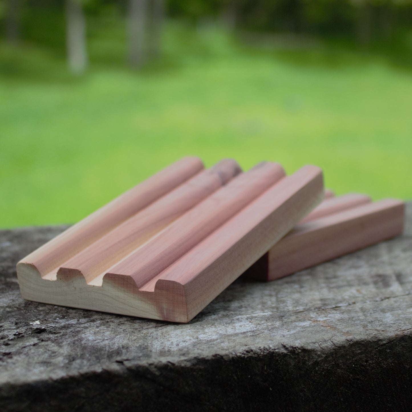 cedar soap tray on wood with natural green background