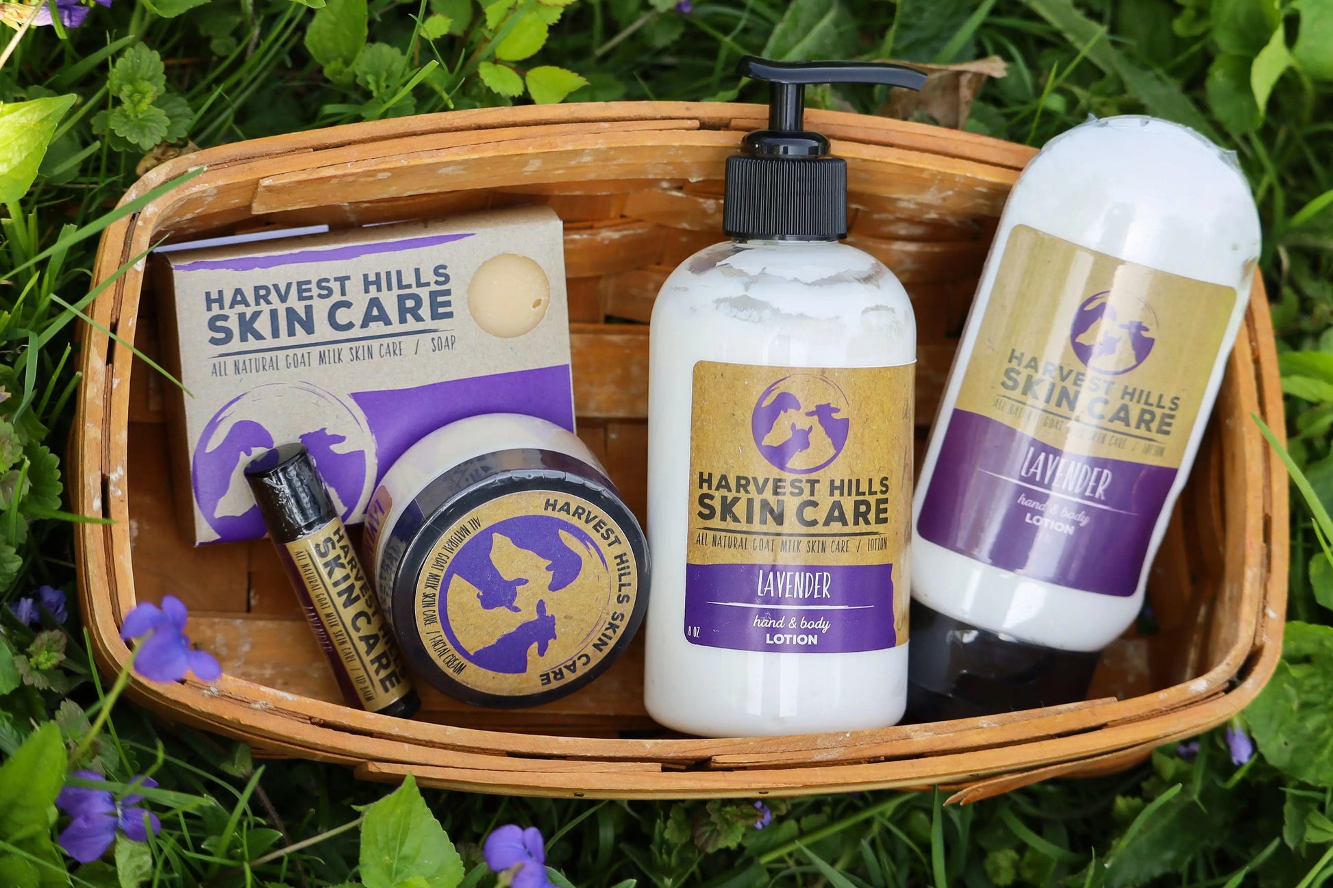 Lavender Soap Harvest Hills Skin Care All Natural Goat Milk Skin Care
